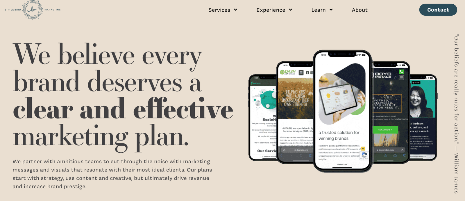 Little Bird Marketing – Ecommerce Growth & Performance Specialists 