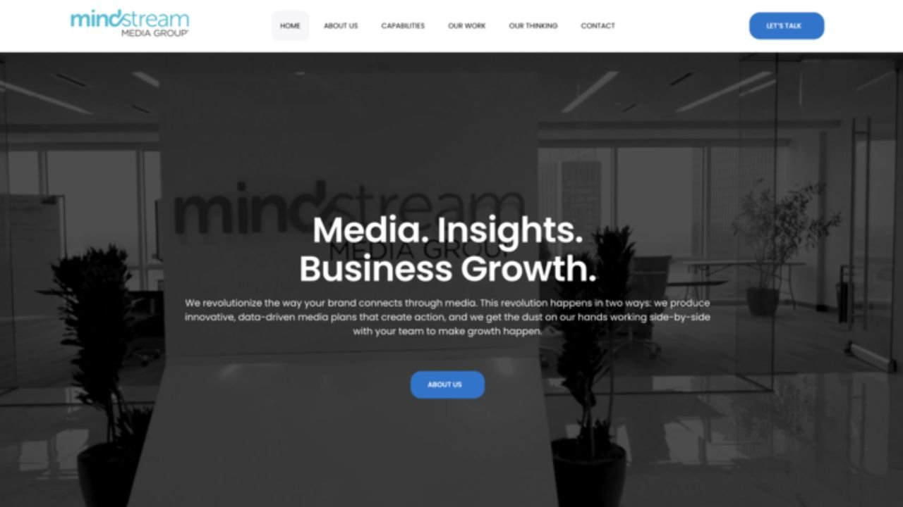 Mind Stream Media Group